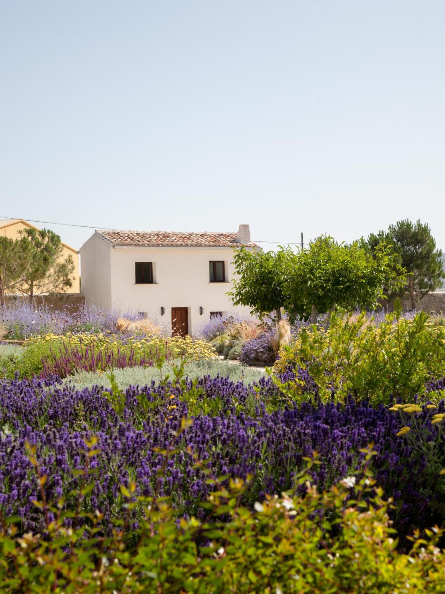 Quinta San Francisco Otel Castrojeriz Dış mekan fotoğraf