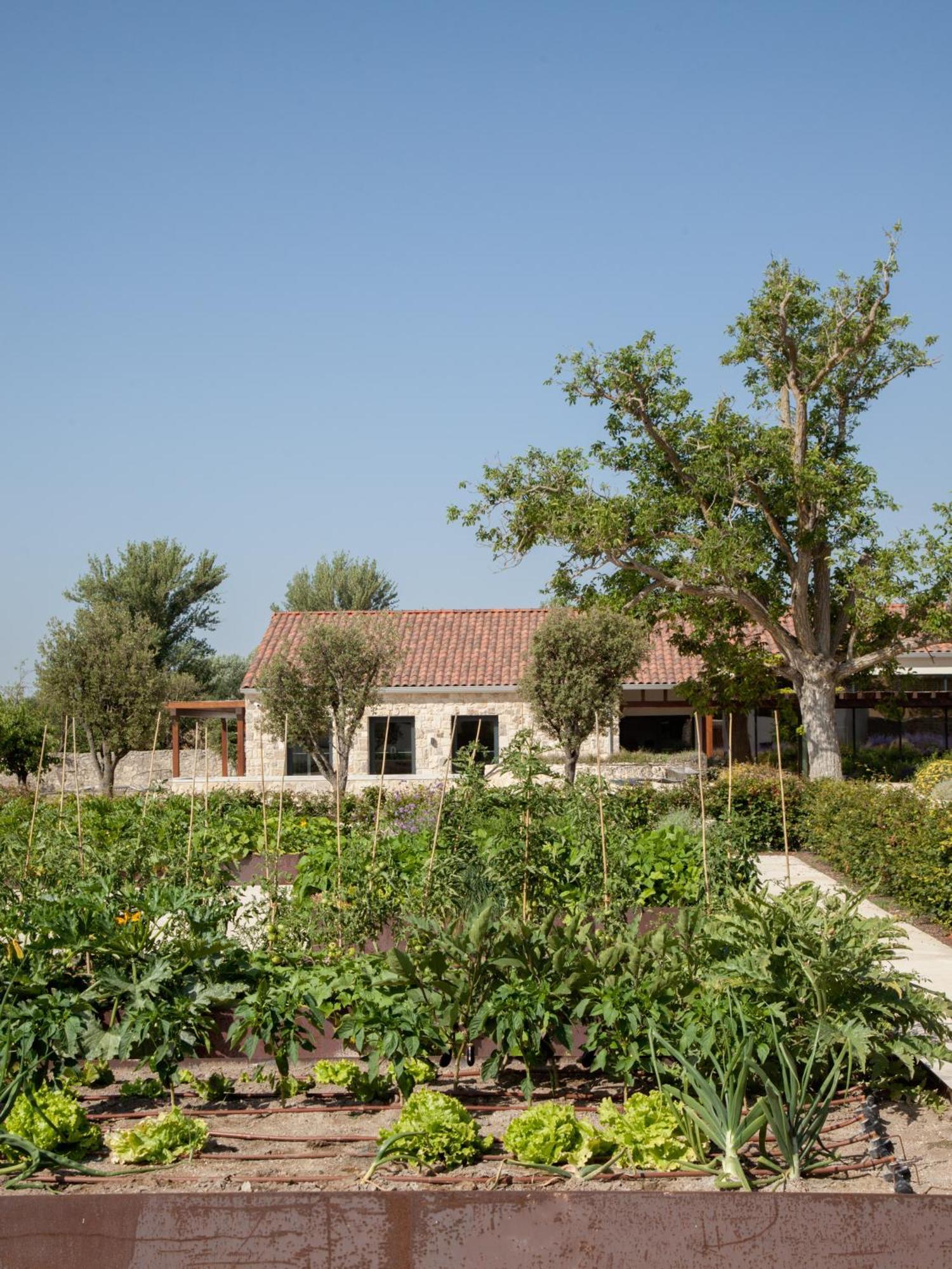 Quinta San Francisco Otel Castrojeriz Dış mekan fotoğraf